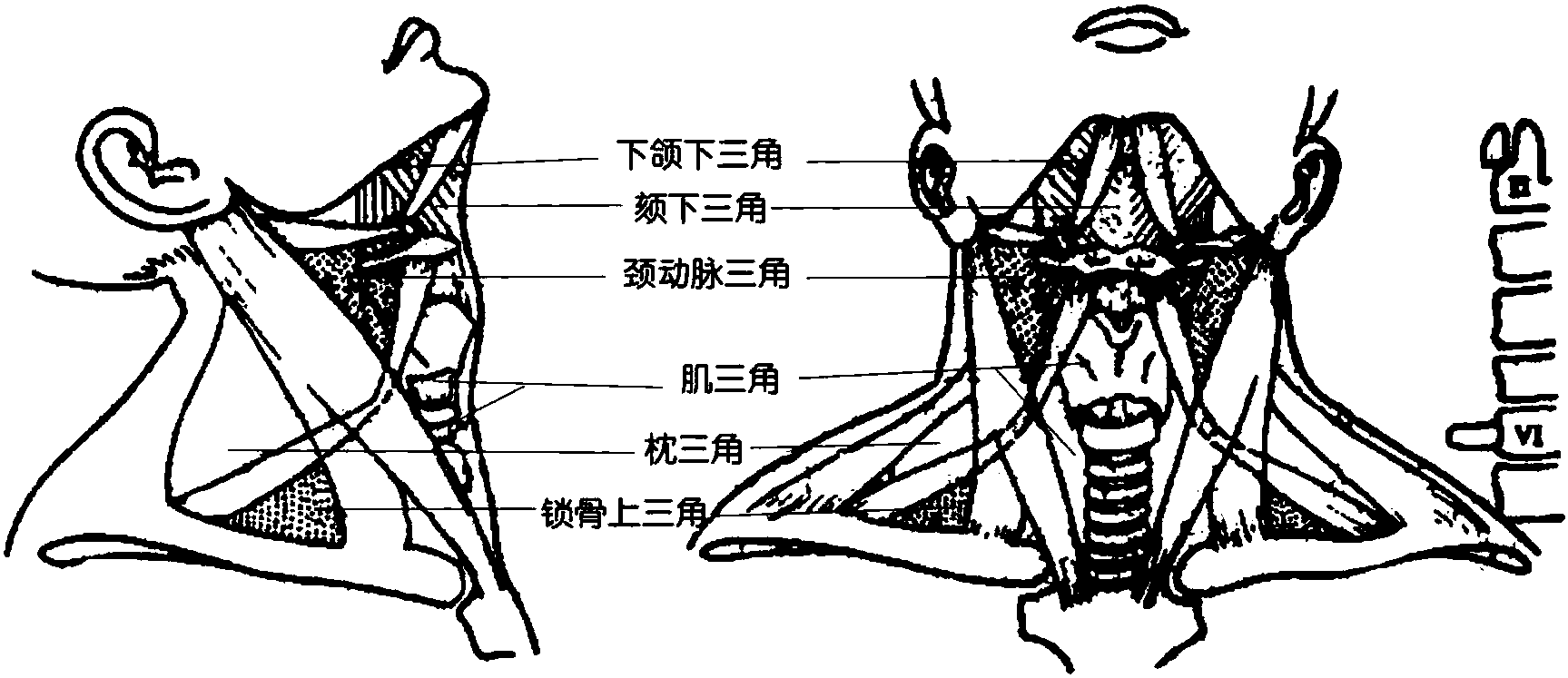 境界與分區(qū)